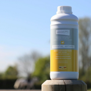 Essenvcial arthro 1L