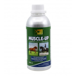 Muscle up 450Ml