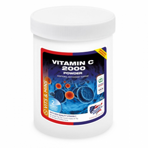 VITAMIN C POWDER IKG