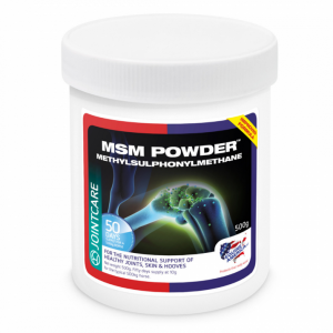 MSM Powder