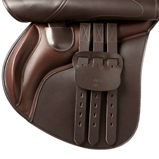 Selim inglesa Lexhis - Image 2