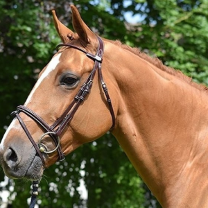 Cabeçada week monday