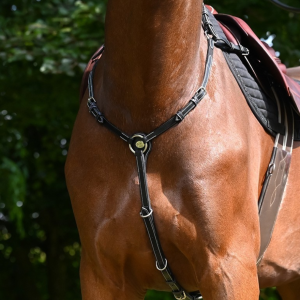 Peitoral week monday