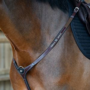 Peitoral One clincher