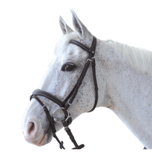 Cabeçada Canter Ornella