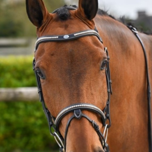 Cabeçada One clincher