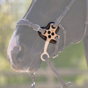 Proteções Hackamore