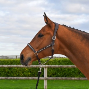 Cabeção One clincher