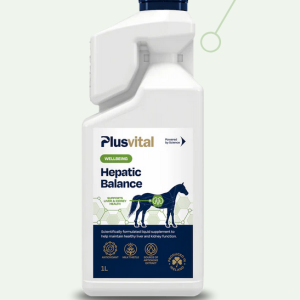 Plusvital hepatic balance 1l