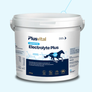 Plusvital eletrolito plus 2kg