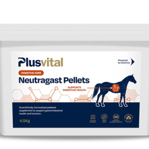 Gastro intestinal Plusvital