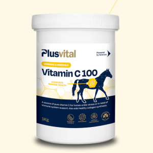 Vitamina plusvital 100c 1kg