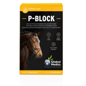 P-BLOCK 10  X 30 GR