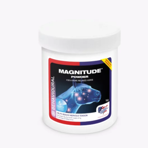 Magnitude 1kg