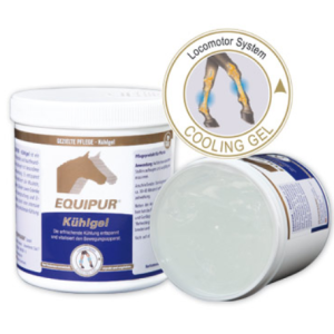 Equipur-kuhgel gel com canfora 500g