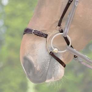 Focinheira week hackamore