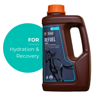 Foran-suplemento refuel 1l
