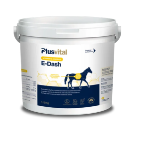 Plusvital e-dash 1,5g