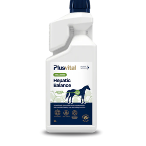 Plusvital hepatic balance 1l