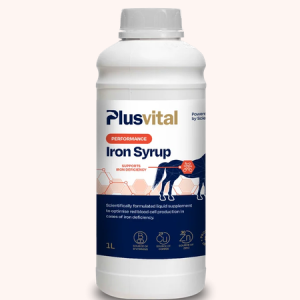 Plusvital iron syrup 1l