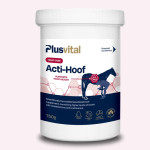 Plusvital acti-hoof 2kg