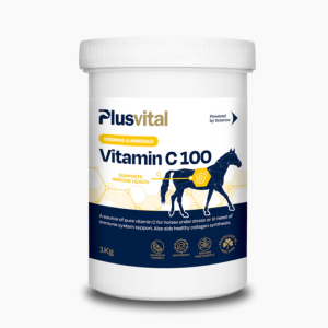 Vitamina plusvital 100c 1kg