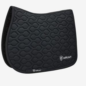 Suadouro ariar evolve preto