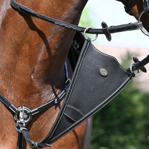Gamarra origin evolution bib